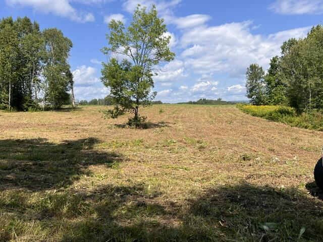 Lot 3 Off New Limerick Road Linneus