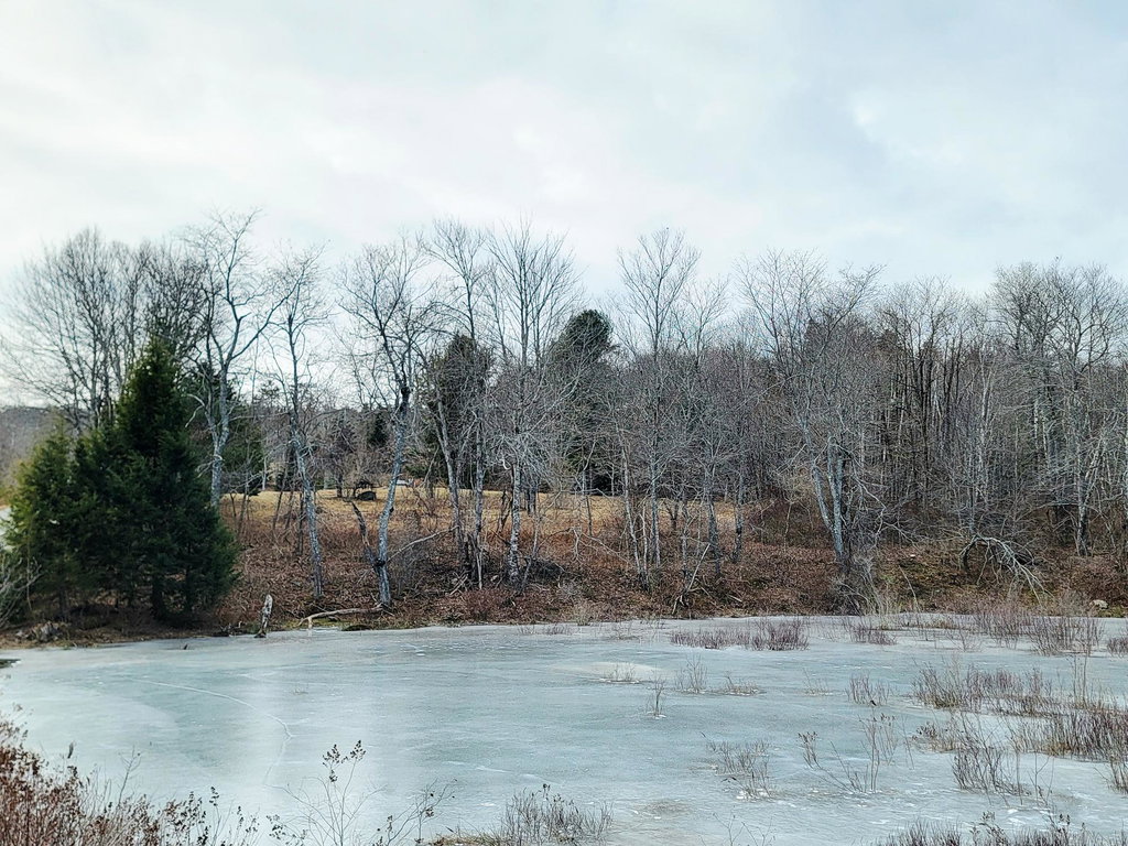 Mill Pond