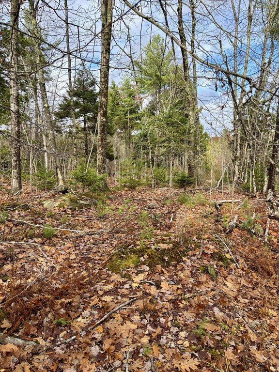 0 Millvale Road Bucksport