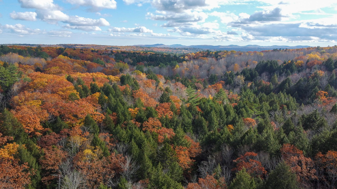 Lot 2 Darci Lane Montville