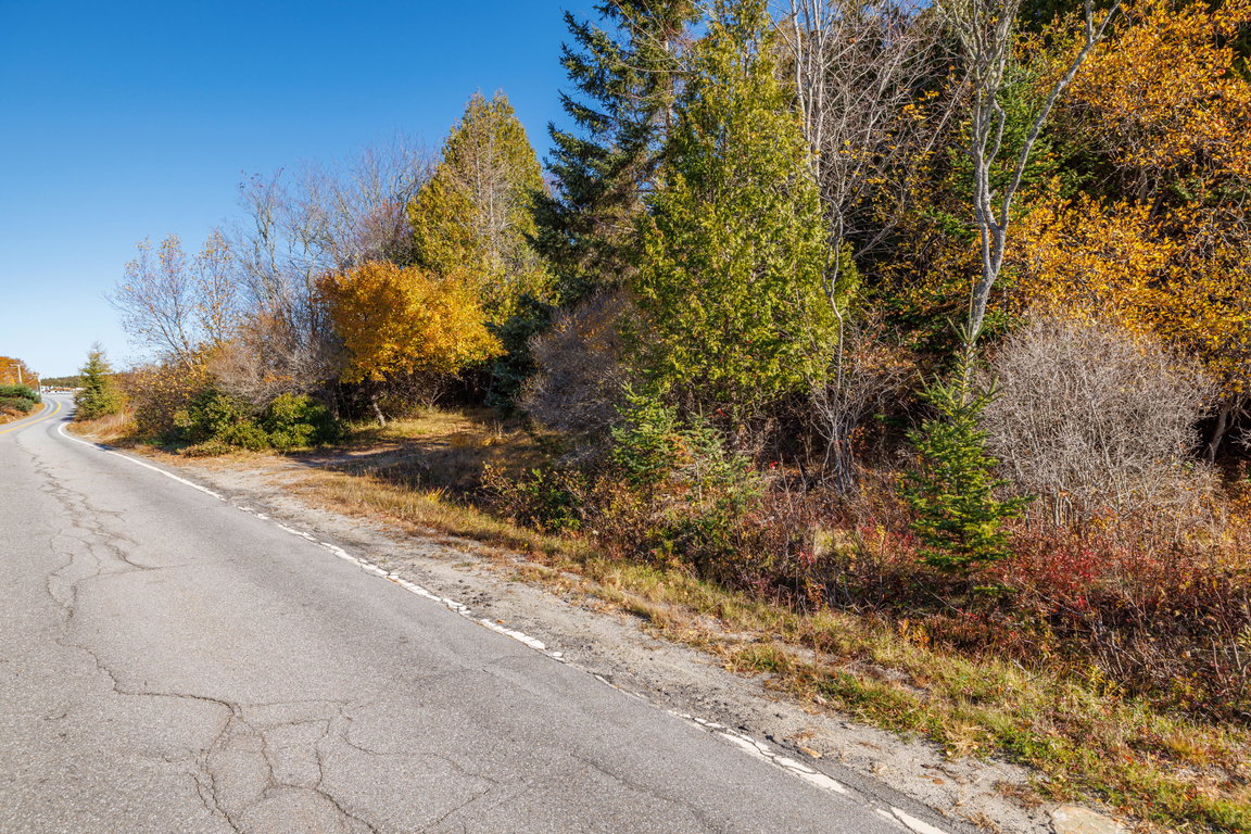 67 - Tremont Road Land - DTP
