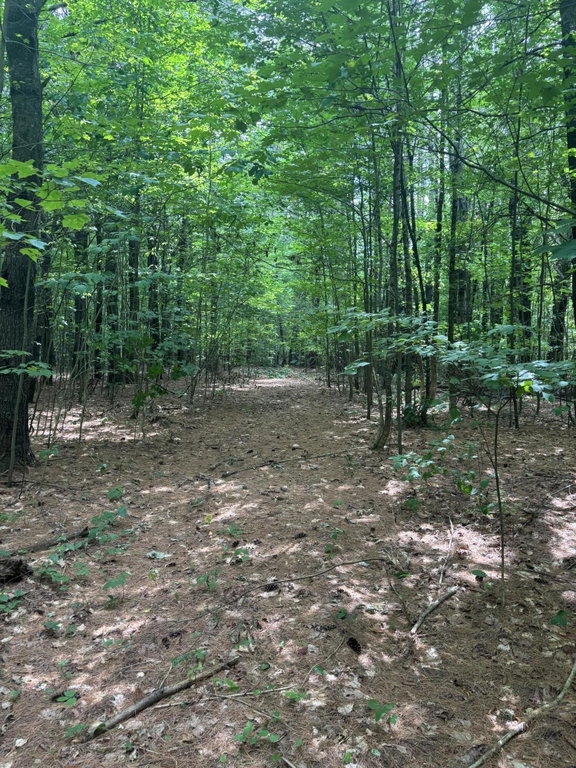 Lot 28 Troy Road Burnham