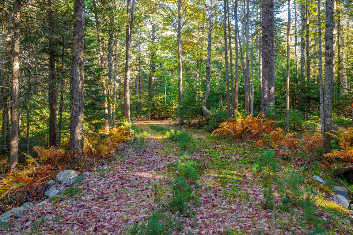 01-Bear Spring Lane Land-DTP
