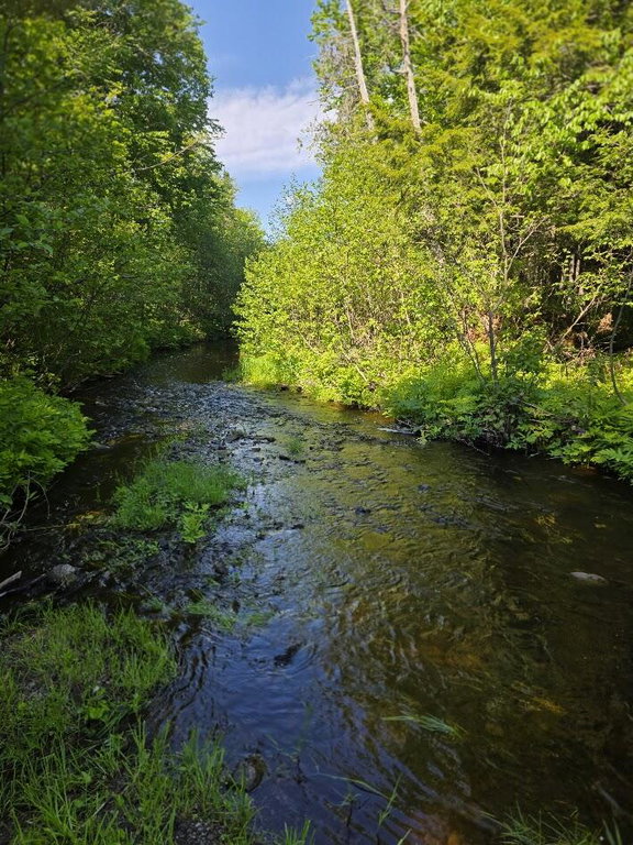 Lot 10 Davis Brook Road Amity