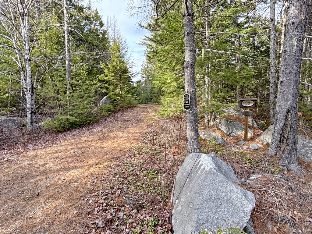 driveway (2)