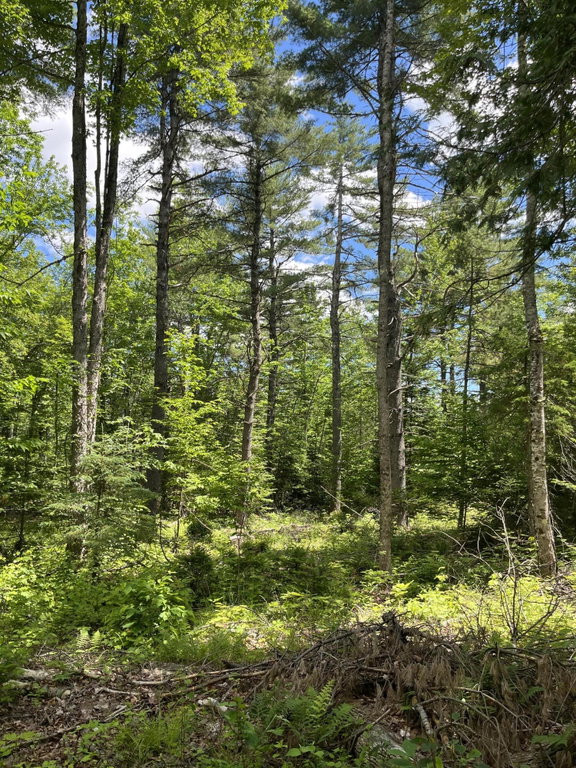 M4L3,5 Fickett Road Etna