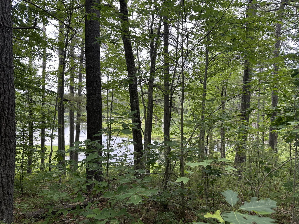 M 7 L 5-5 Blandings Lane Shapleigh