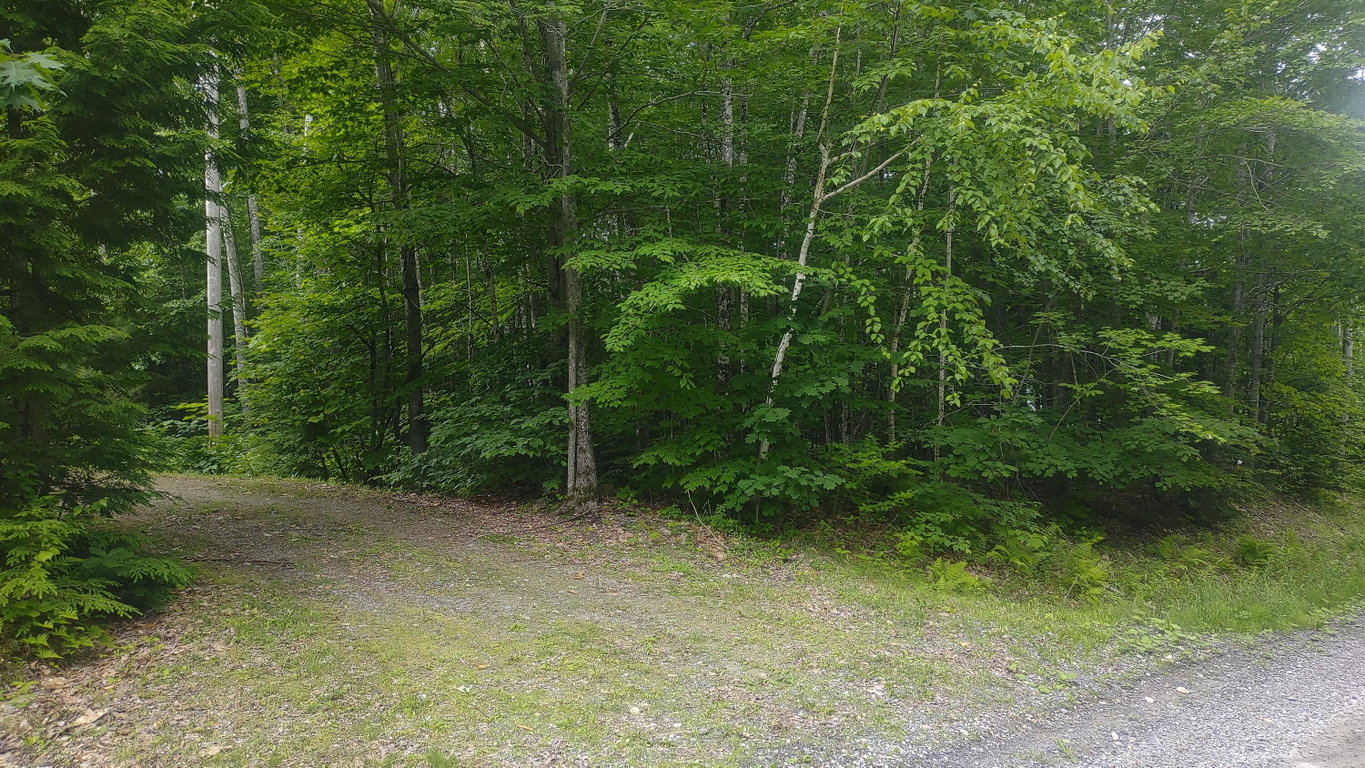 TBD Stream Road Road Vienna