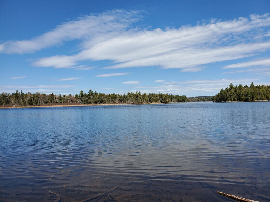 1.3 ac Off Barrows Lake Road Alexander