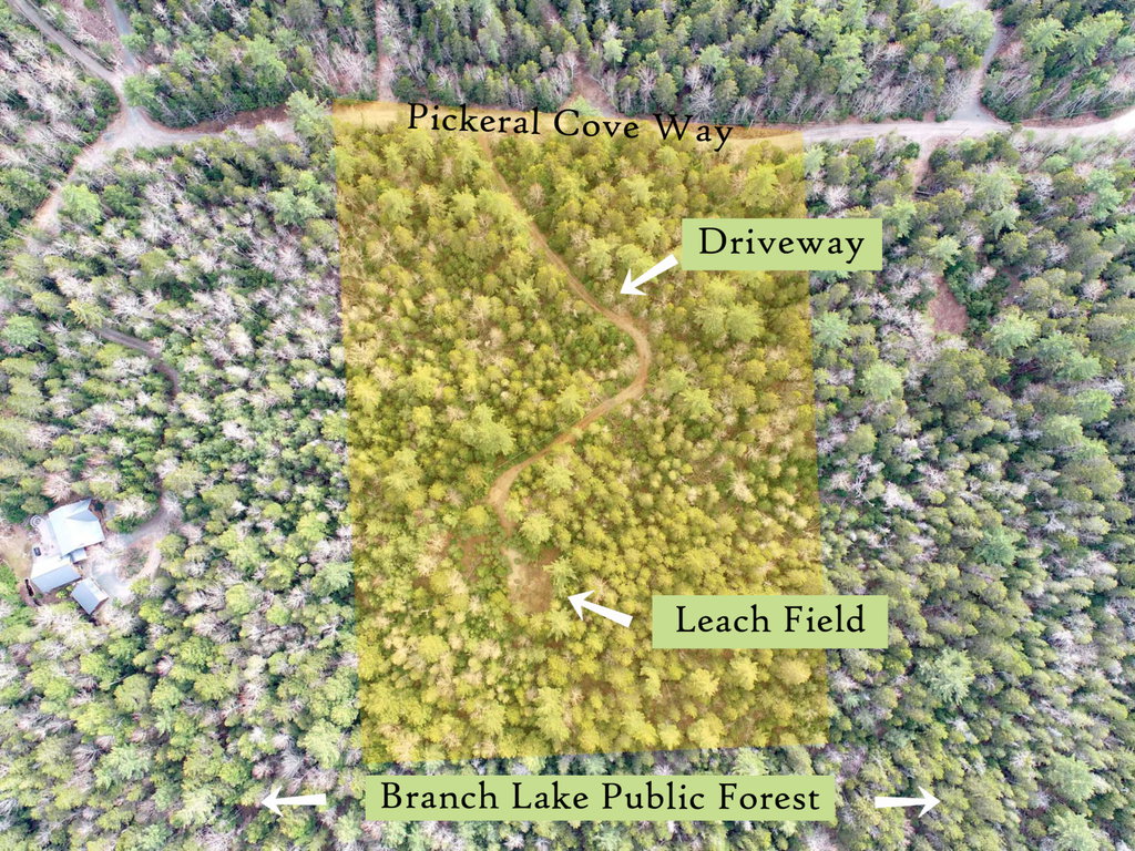 Aerial (5), label