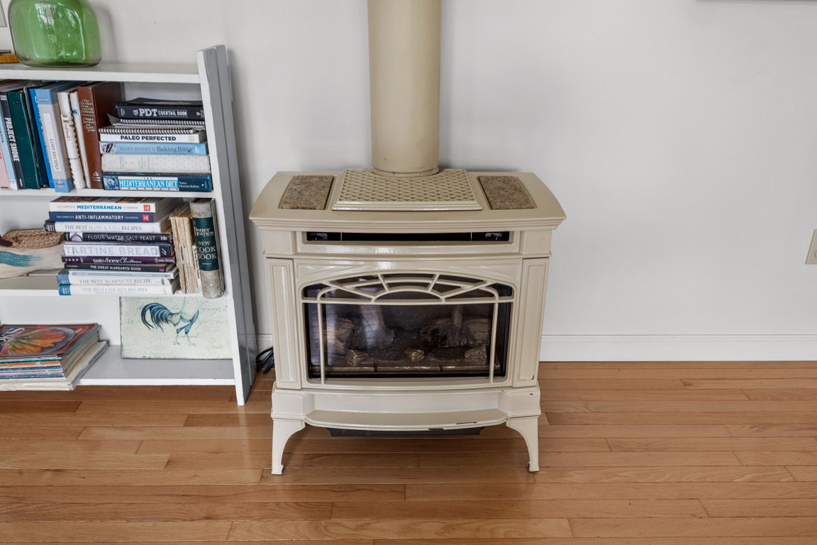 Propane Stove