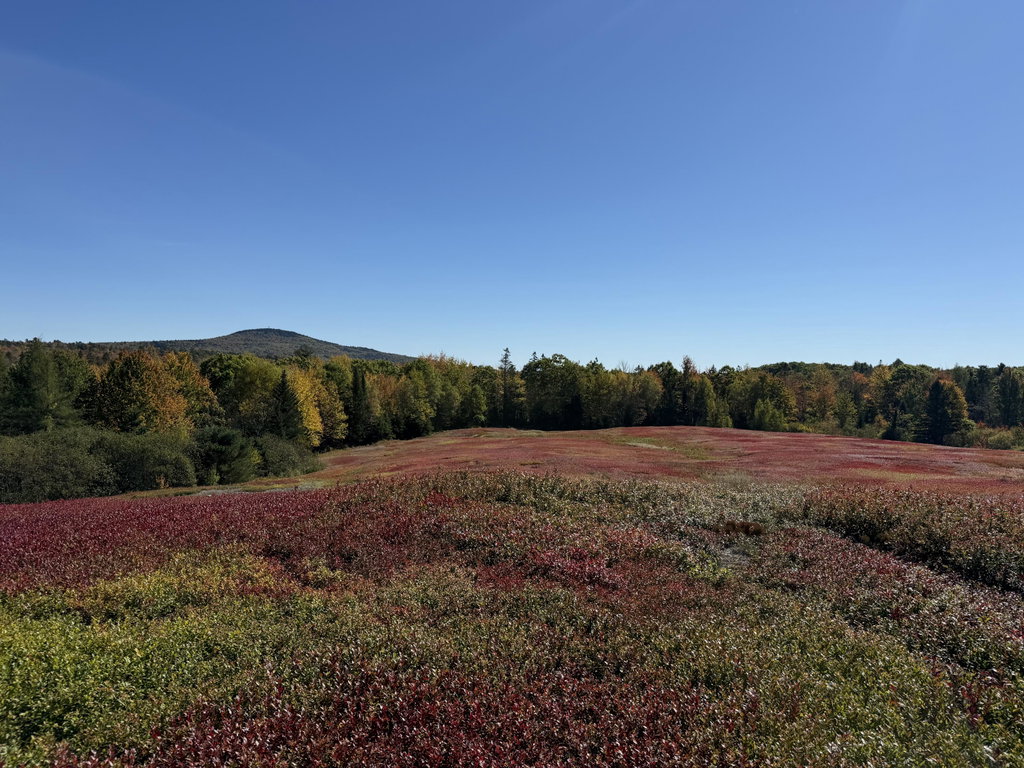 MAP 31 LOT 29