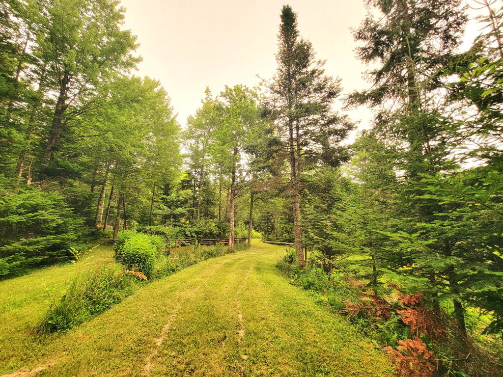 Manicured Trails