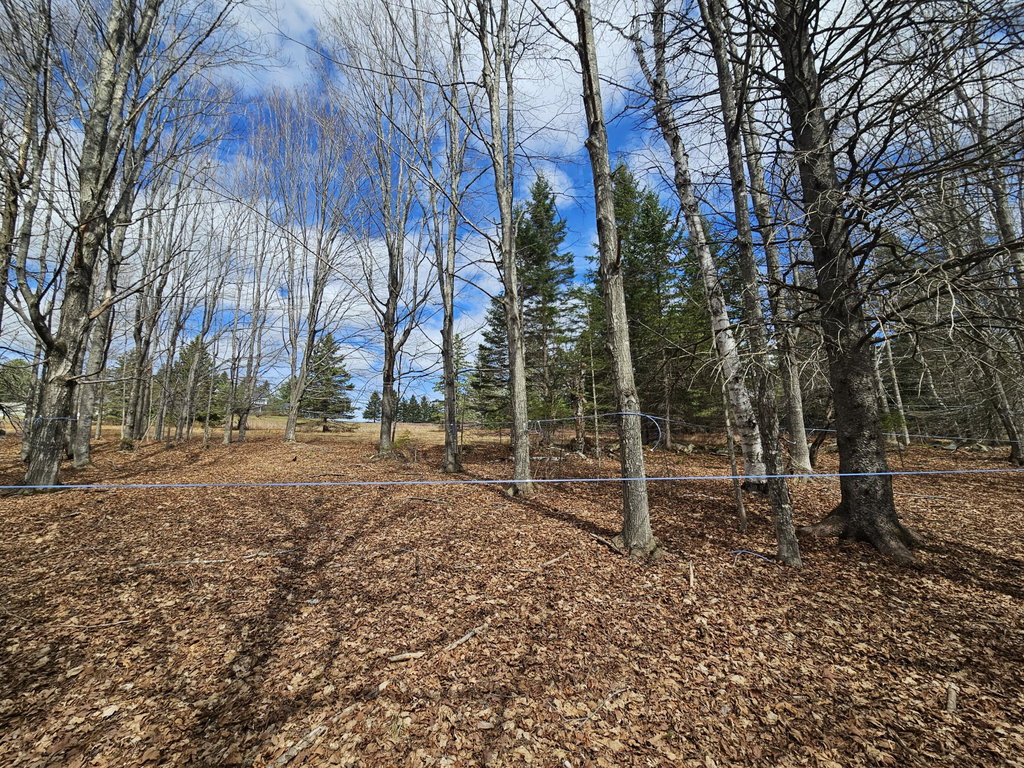 Lot 9 Amber Road Rangeley