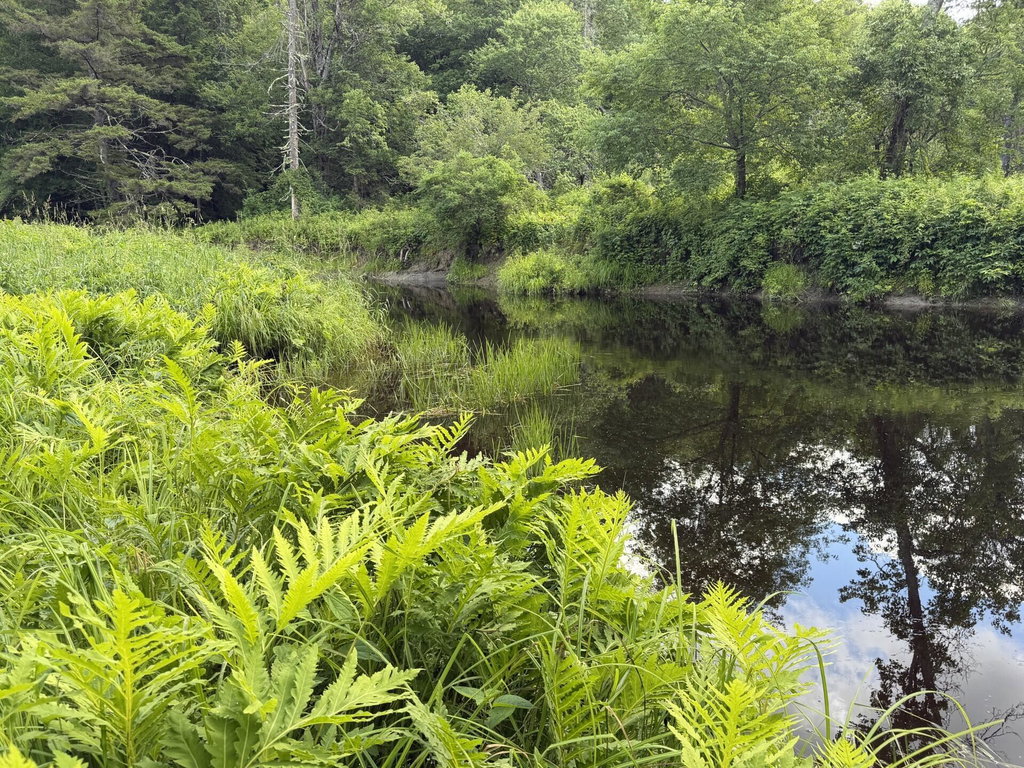Lot 16-6 Norridgewock Road Fairfield