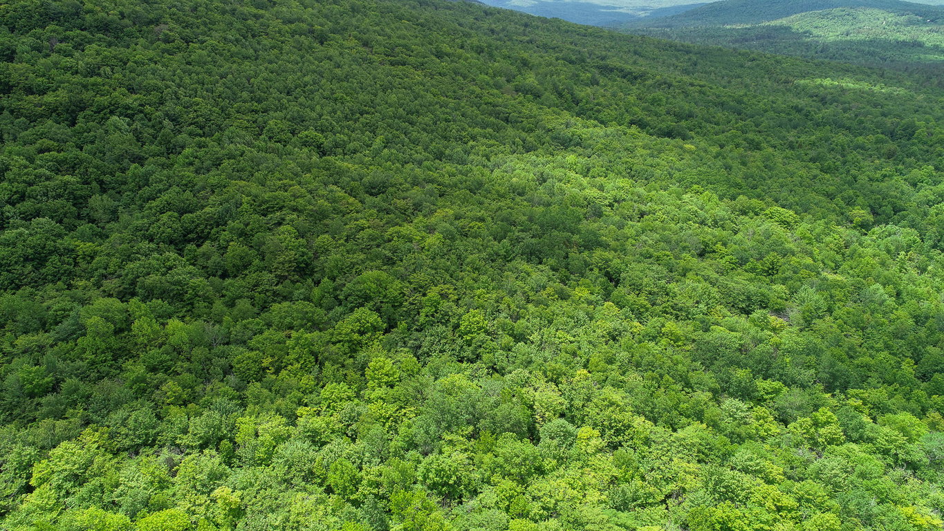 Map 402 Lot 9  Rumford