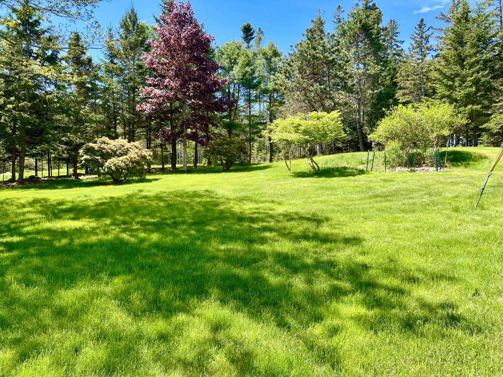 Land / grounds