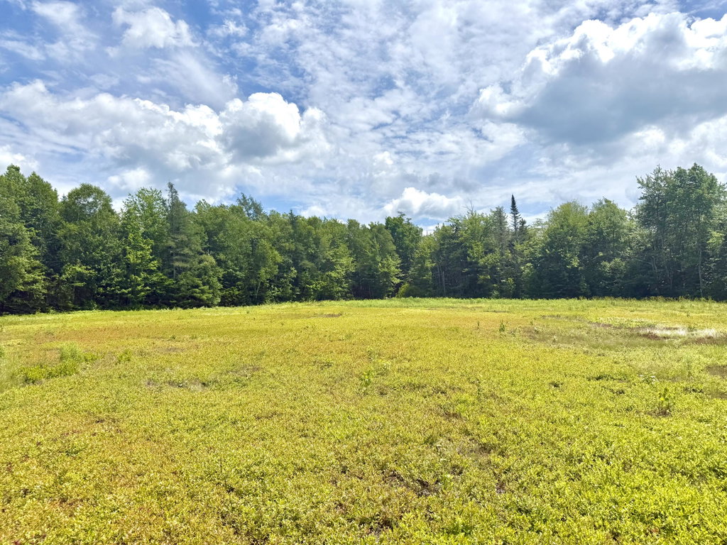 Lot 9
