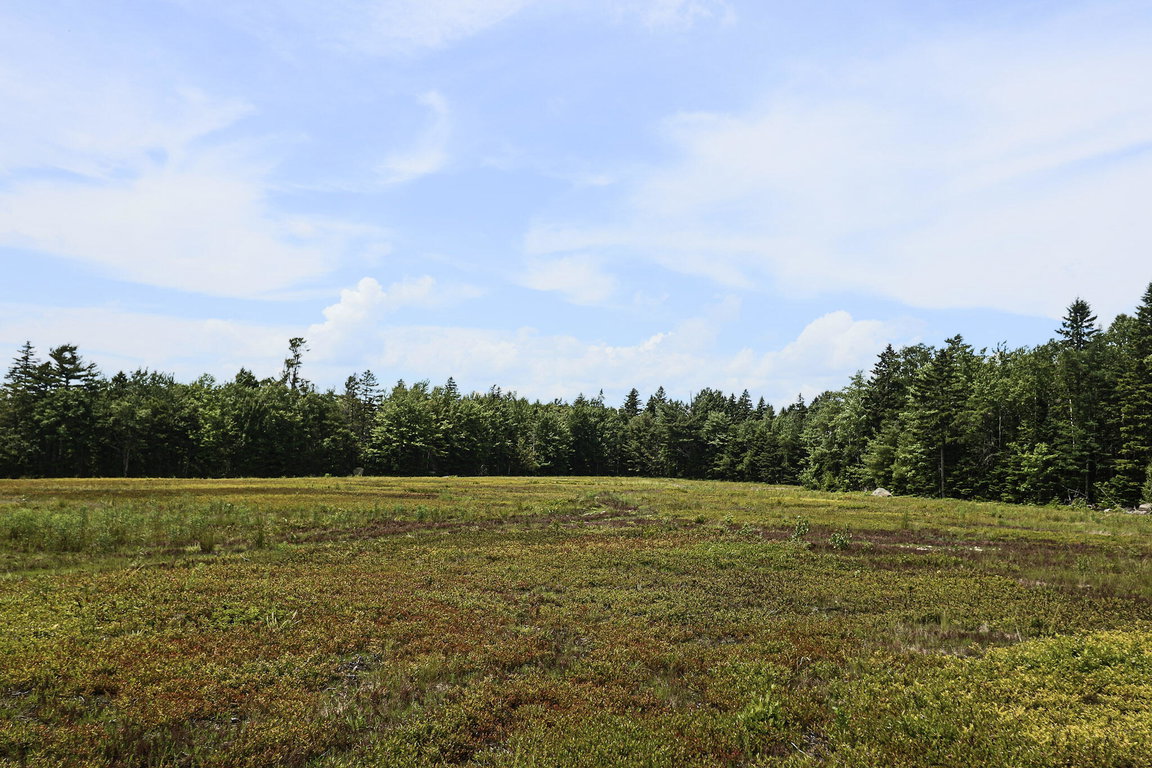Lot 9