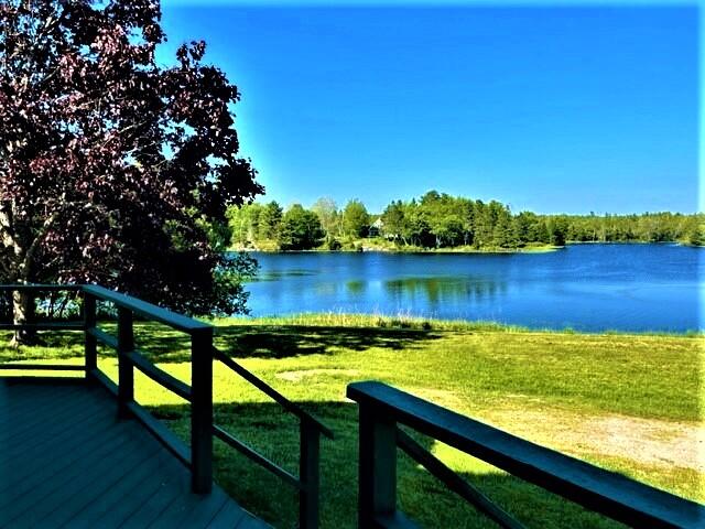 Joy42