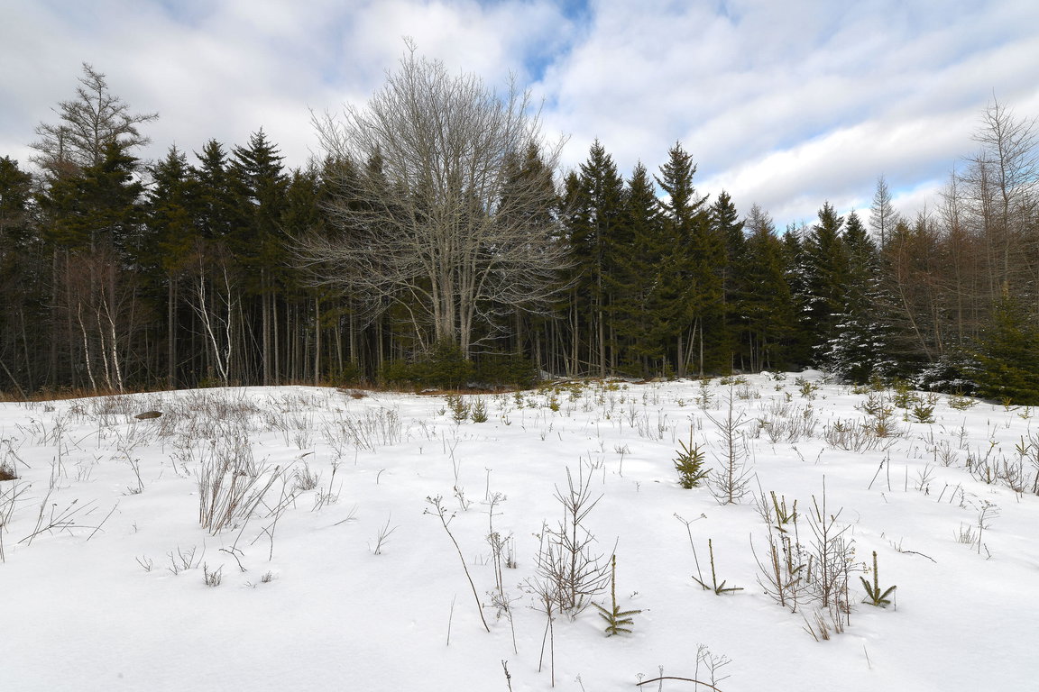 12 Lindsay's Road Deer Isle