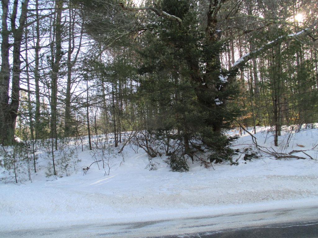 Lot #2,#3 Empire Road Poland
