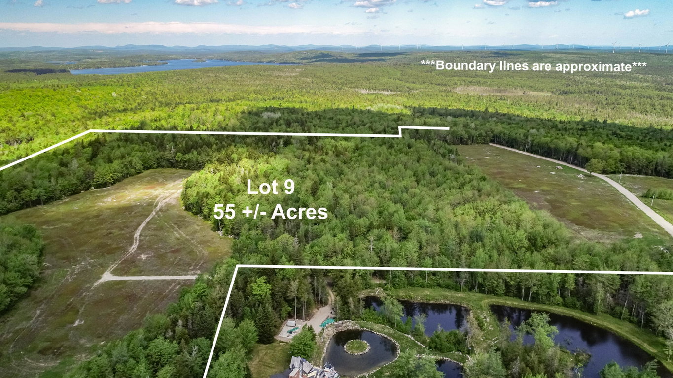 Lot 9