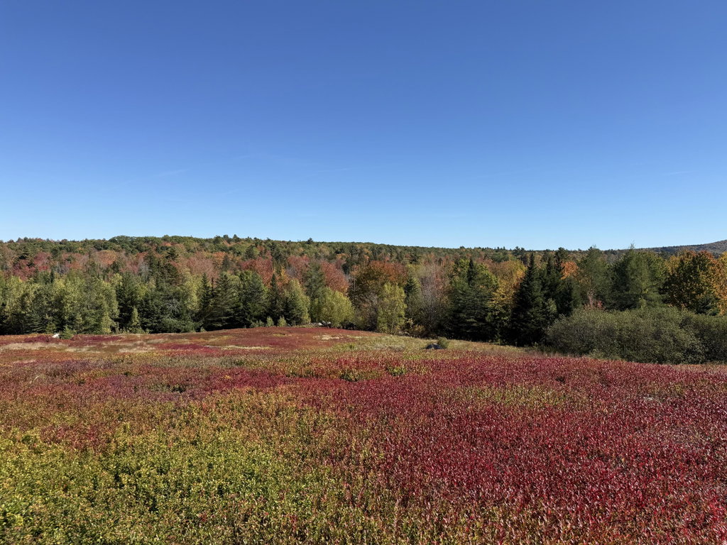 MAP 31 LOT 29
