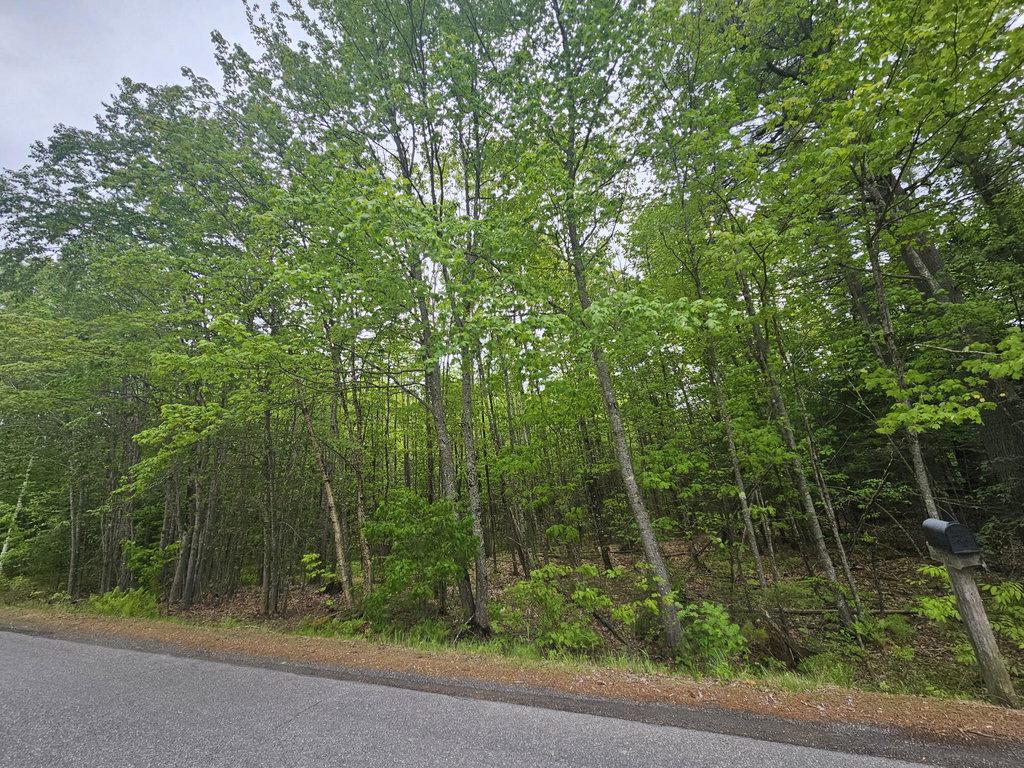 0 Capen Road Gardiner