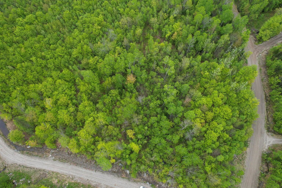 Lot 7 Hollis Drive Kingfield