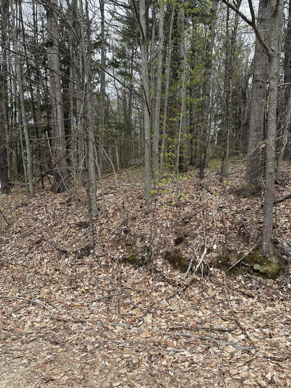 Lot #5 - 344 Moose Hill Road Livermore Falls