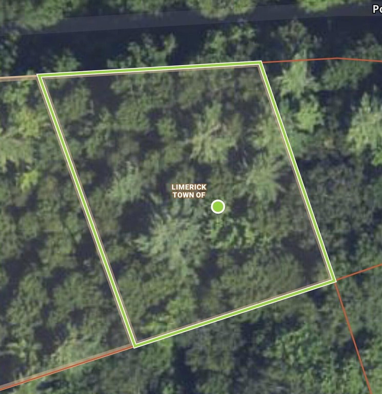 Map 46-169 Pond Road Limerick