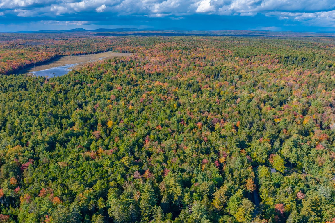 40-Bear Spring Lane Land-DTP