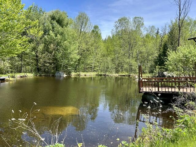 60 Mt Blue Pond Road Avon