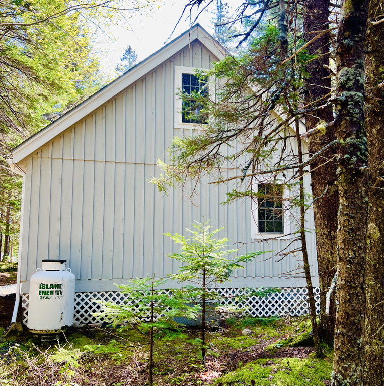Exterior back of cabin