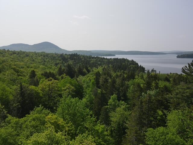 Lot 1 Scammon Road Greenville