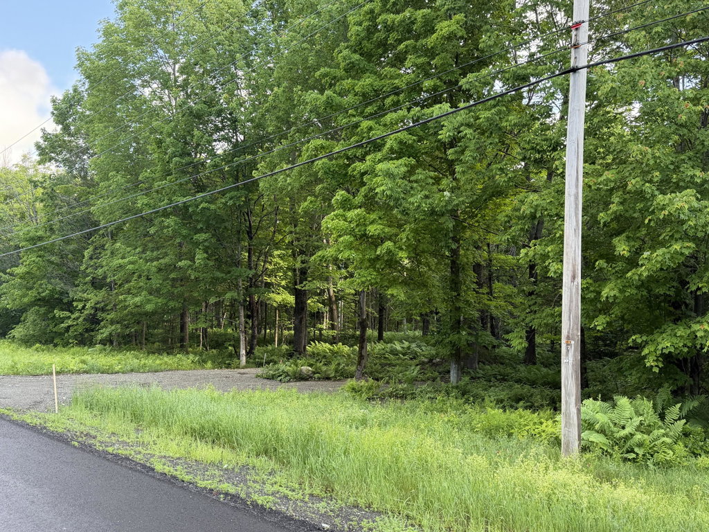47 Greenville Road Shirley