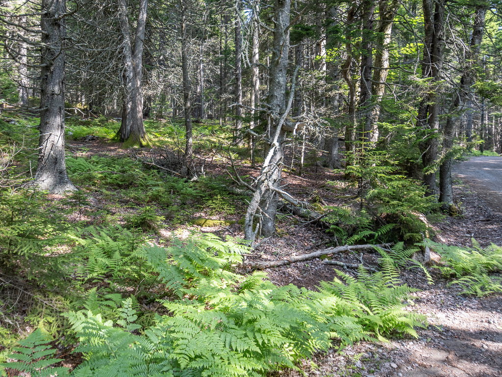 Island Retreat Lot 10