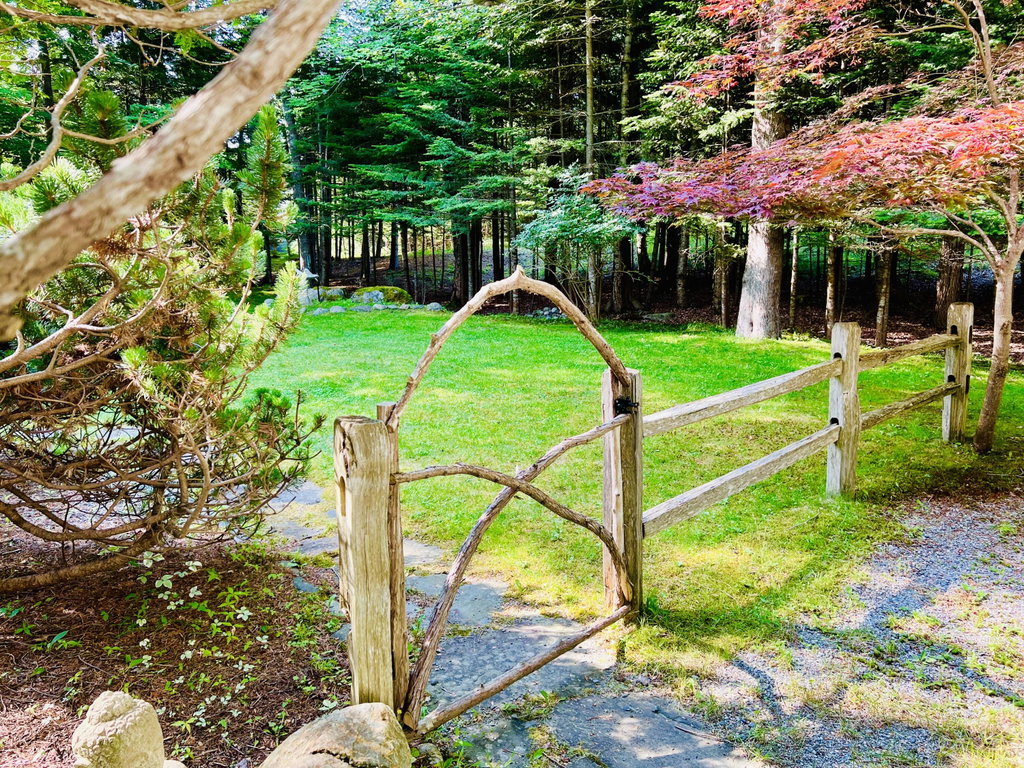 Front yard