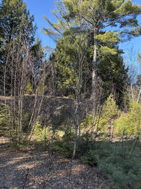 6 Bog Brook Loop West Paris