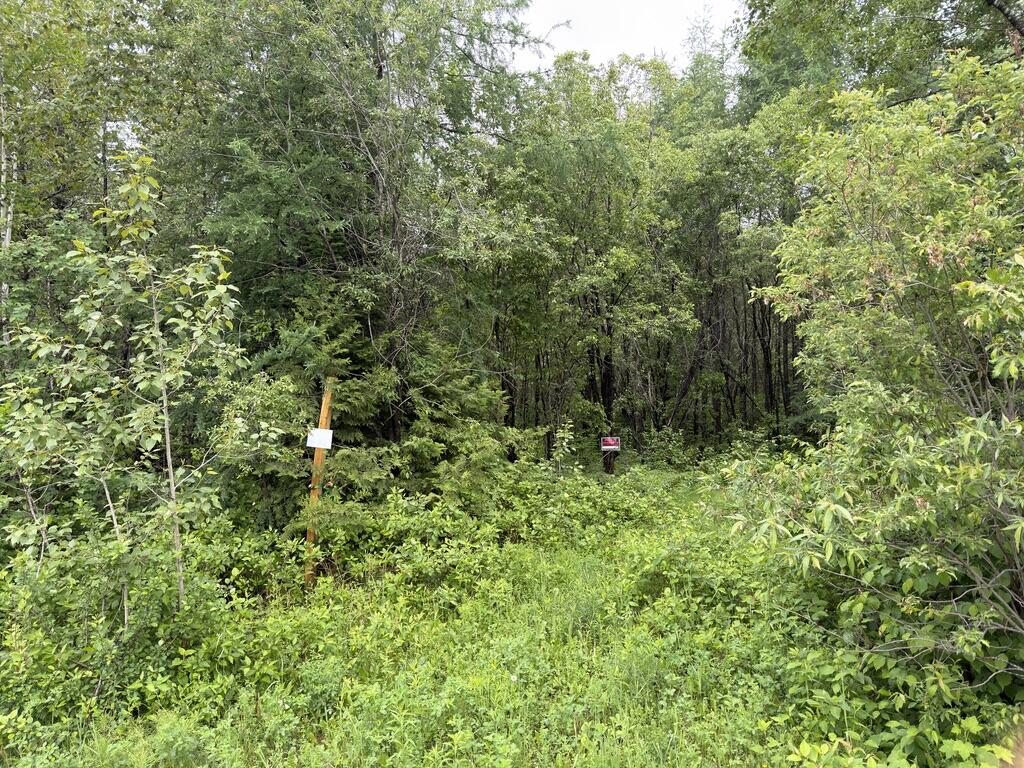 M3 L7-E Fowler Road Woodland