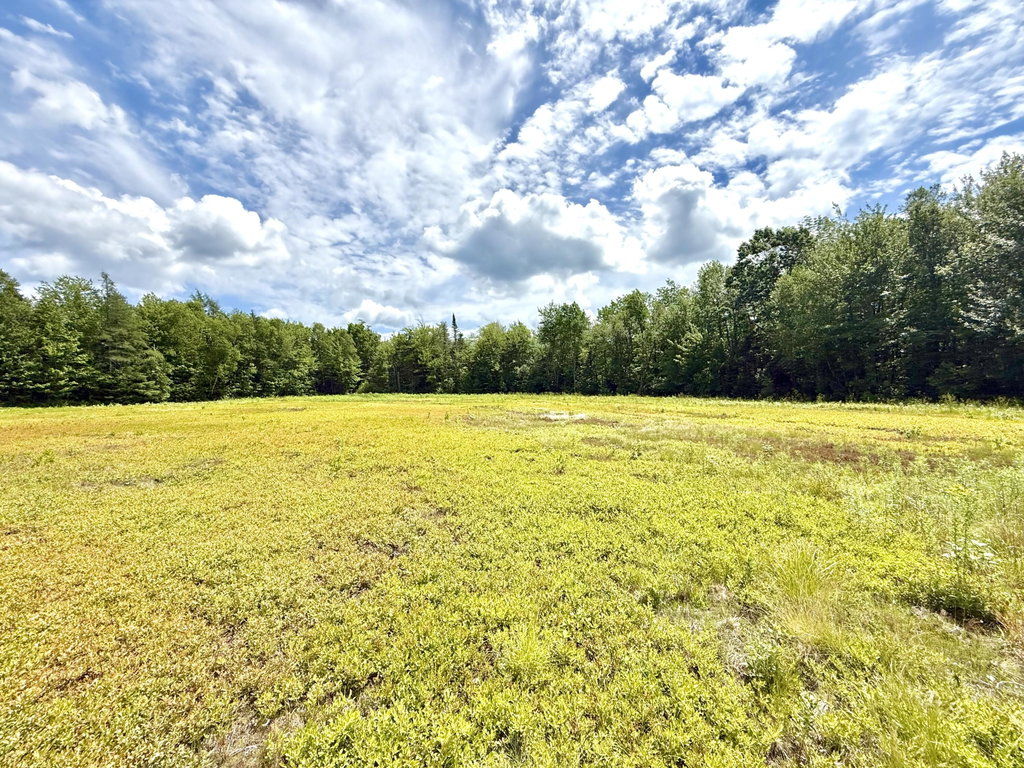 Lot 9