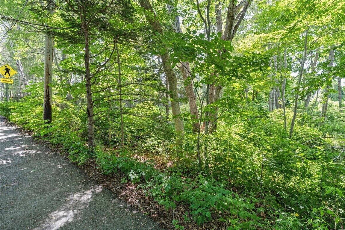 10-Land - Northeast Harbor-2