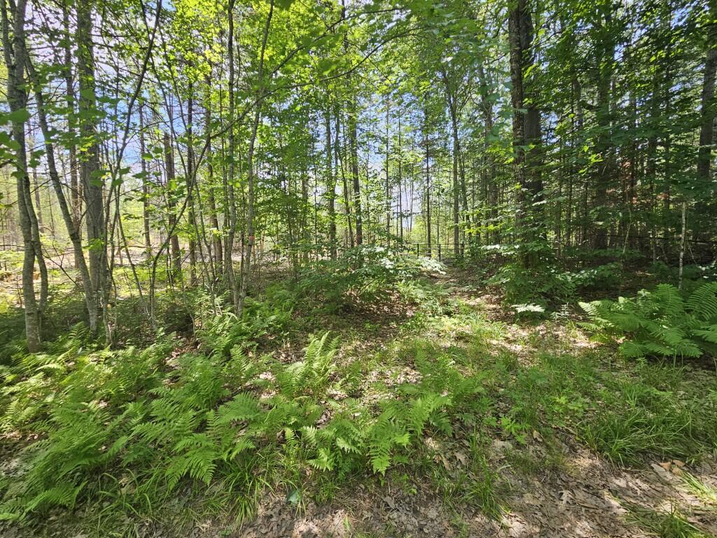 19A Quaker Ridge Road Leeds