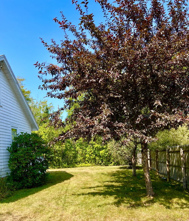 Side yard