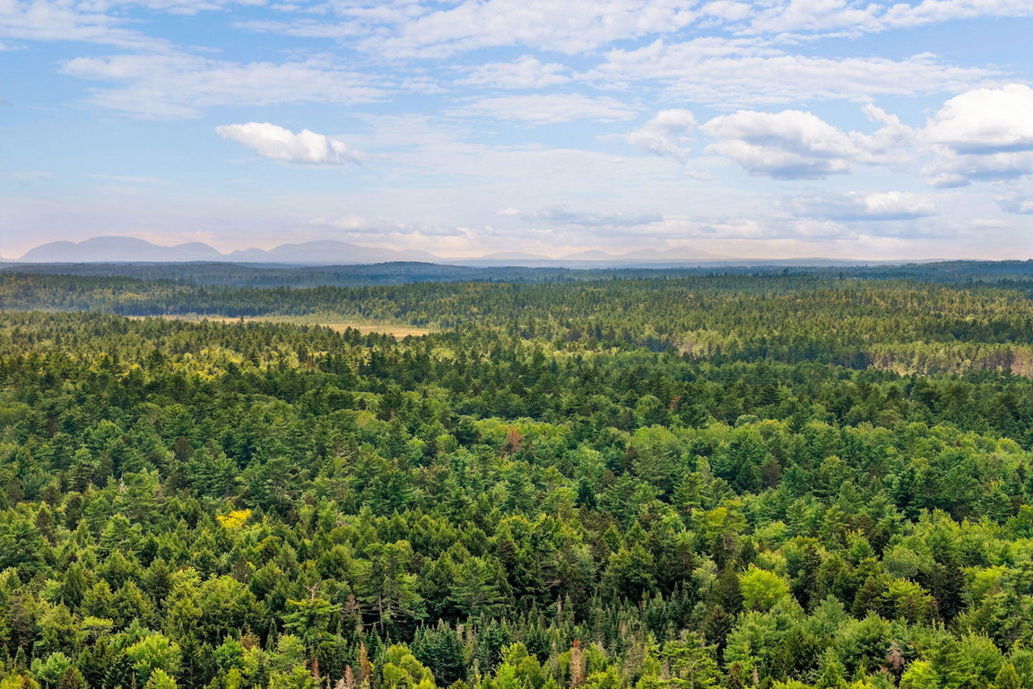 91-web-or-mls-26-wolf-cove-rd