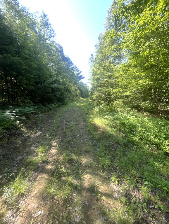 0 Pine Grove Lane Lagrange