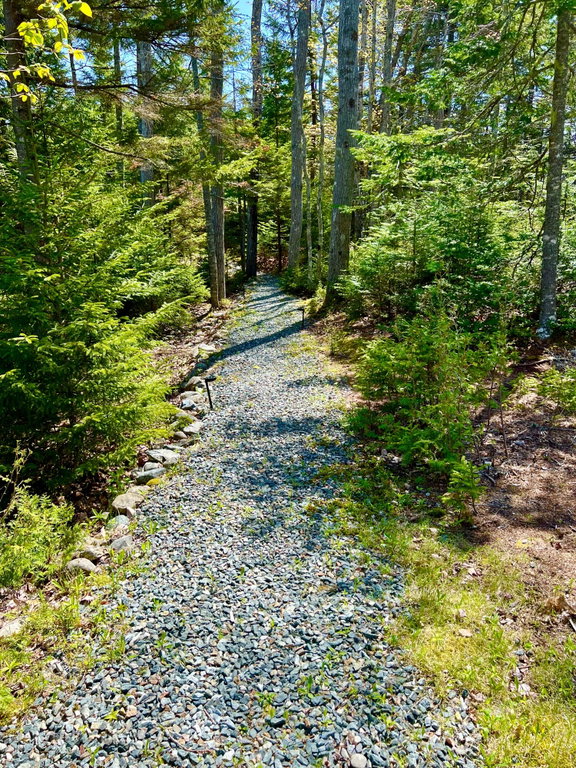 Path