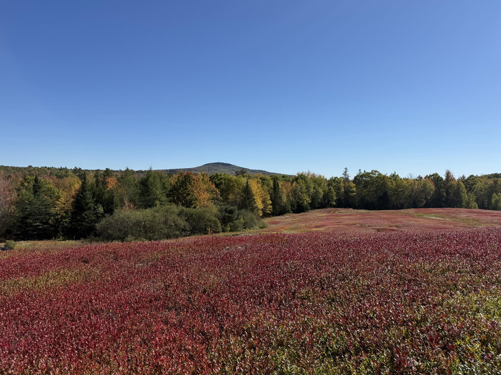 MAP 31 LOT 29