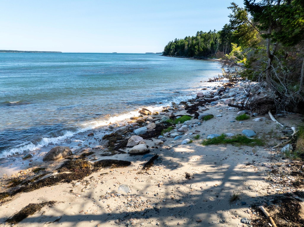 Beach & Bay